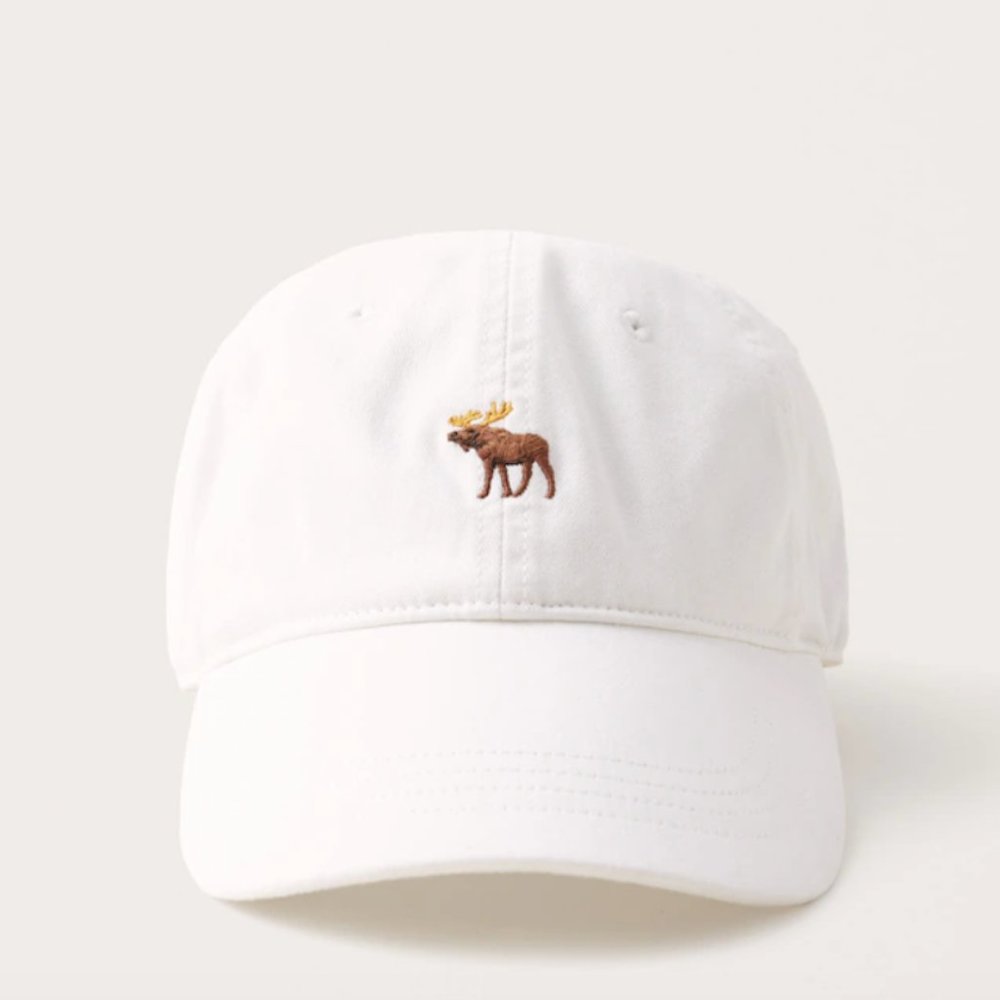NWT Abercrombie and Fitch Signature Baseball Hat